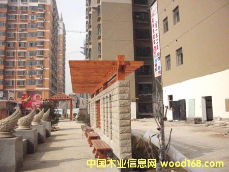 ̫ԭ����ľ����