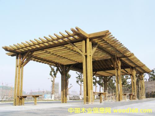 ɽ������ľ����