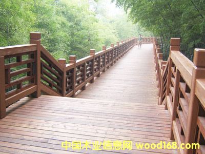 ����ľ����