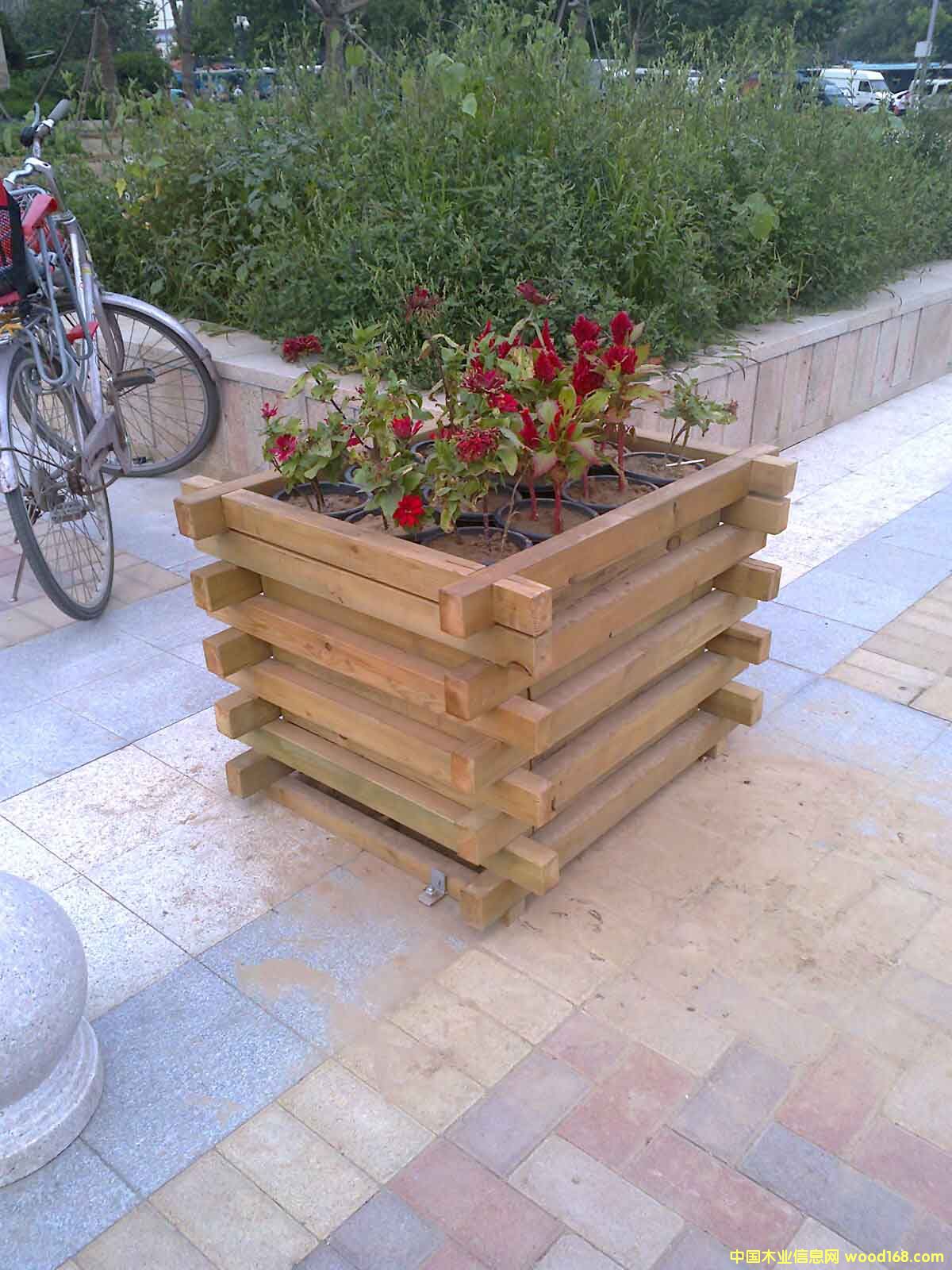 ɽ������ľ����