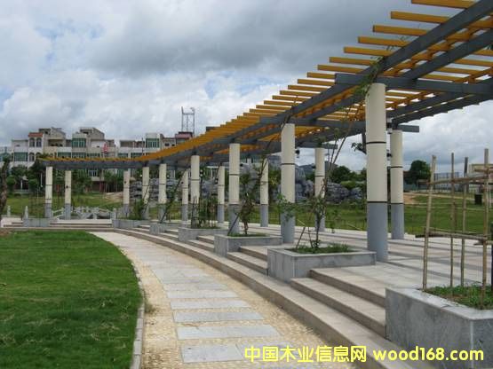 ɽ������ľ����