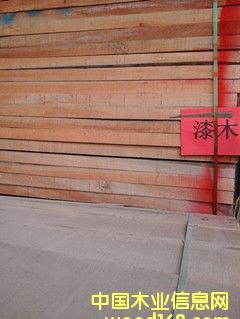 ��ľ��Ԕ��(x��)��B