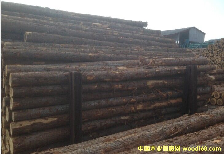 ��ɼԭľ��Ԕ����B