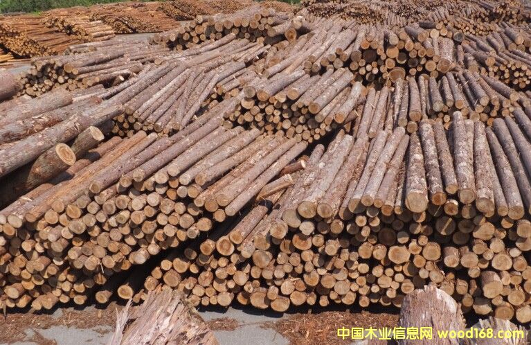 �uľ��Ԕ����B