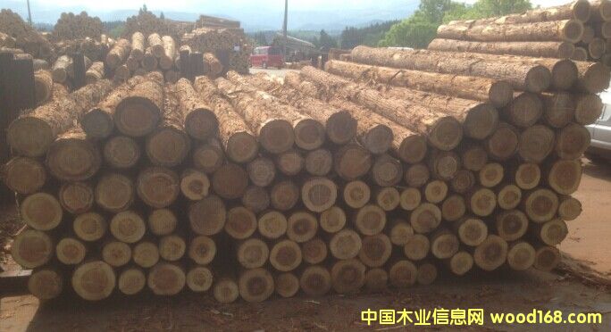 ��ɼԭľ��Ԕ����B