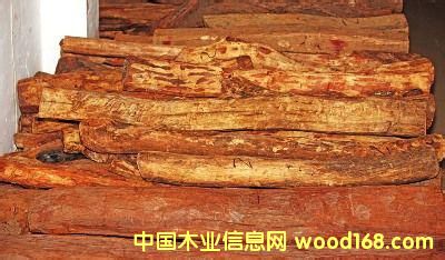 �S����PͲ�����Ѽ���