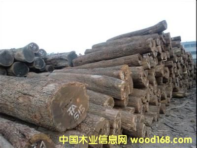 �ǄPԴľ�I(y��)�̓r(ji��)����(y��ng)����̴��ԭľ�����ޣ�