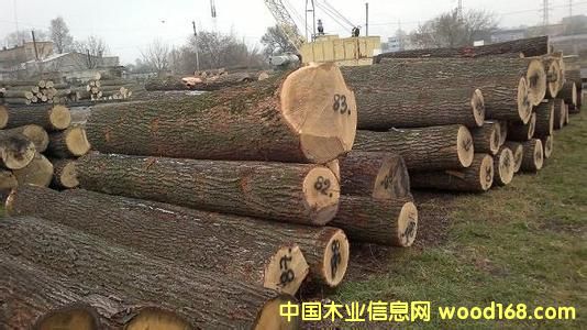 �ǄPԴľ�I(y��)�̓r����ˮ����ԭľ�����_˹��