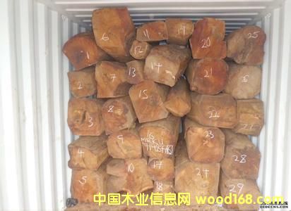 �ǄPԴľ�I(y��)�̓r(ji��)����(y��ng)����С�u�� ԭľ�����ޣ�