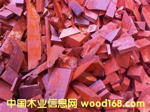 �M����С�~��̴߅���� ���l(f��)�r(ji��)���Ԕ��(x��)��B