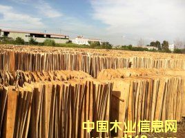 ��ľ�ΰ��Ԕ��(x��)��B