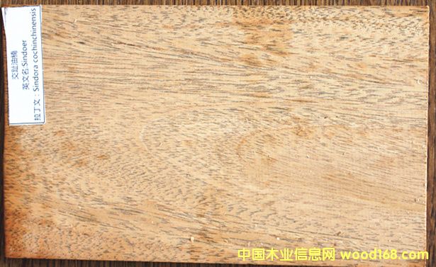 ��ֺ��骵�Ԕ��(x��)��B