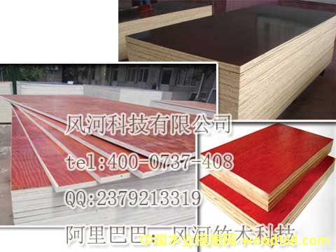 �L(f��ng)����ľ�Ƽ������z���Ԕ��(x��)��B