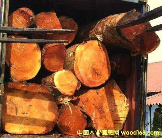 �|�ρ��sľԭľ