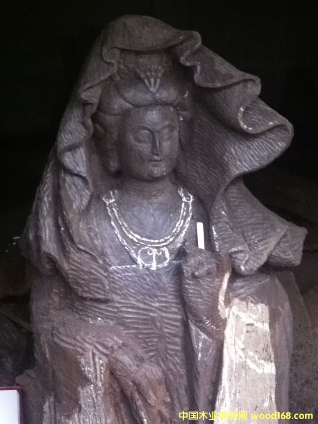 烏木的詳細(xì)介紹