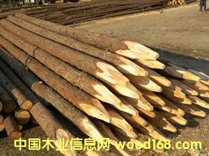 ɼľ�������阶���ӵ�����Ԕ��(x��)��B