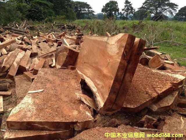 ī��������Ԕ����B