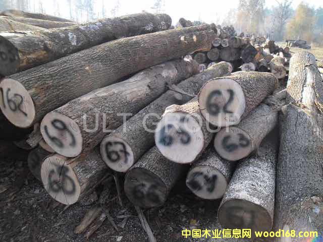 Ӳ��ԭľ��Ԕ����B