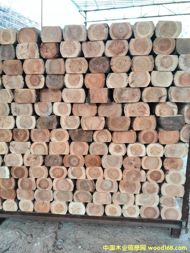 ���Ʒ  ɼľƴ���Ԕ��(x��)��B