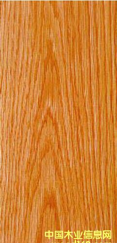 紅橡木的詳細介紹