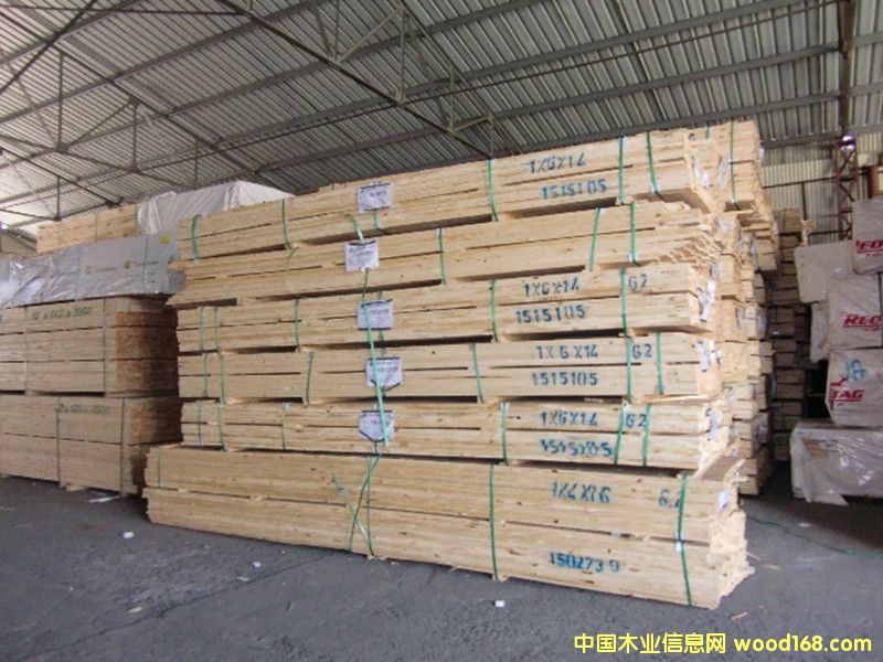 ����͢��2