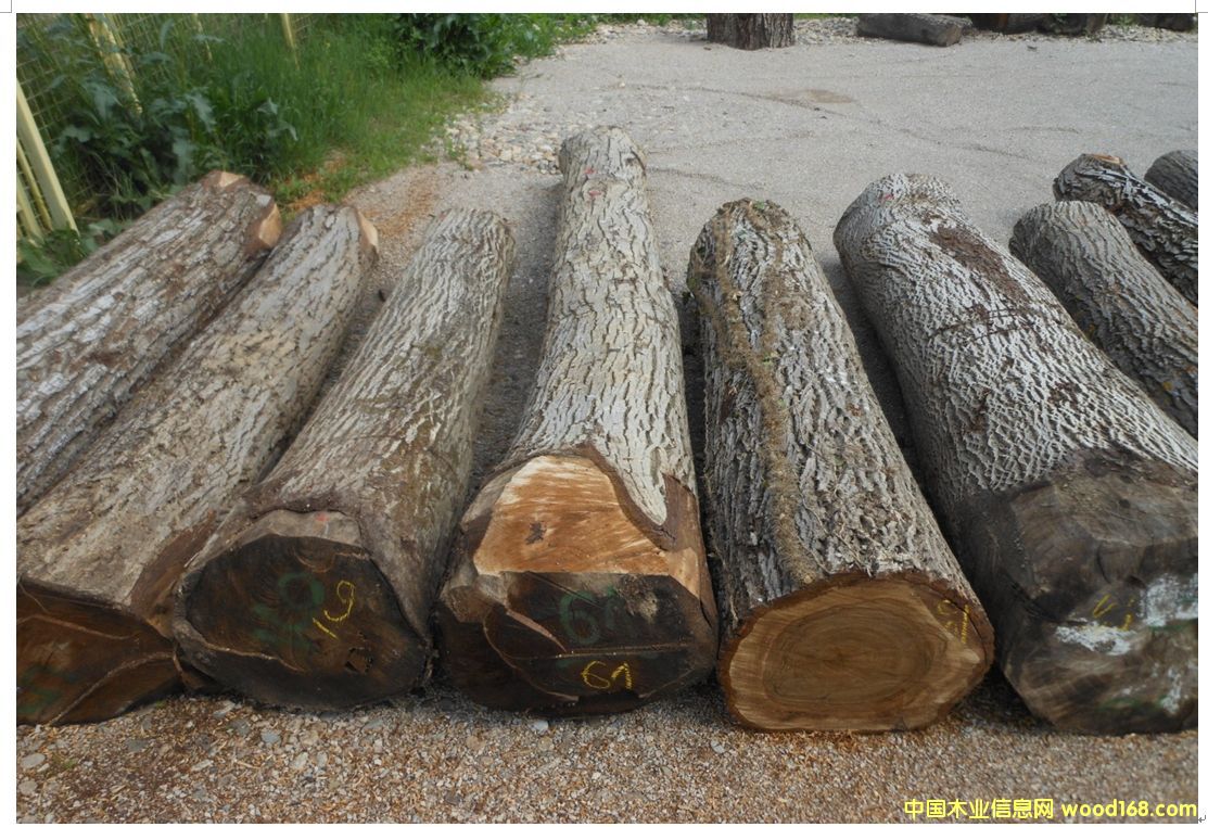 ���ں���ľԭľ