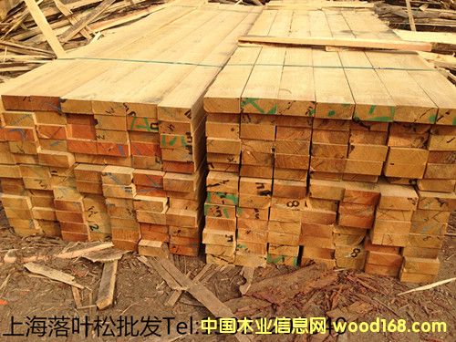 ���~�Ƀr��