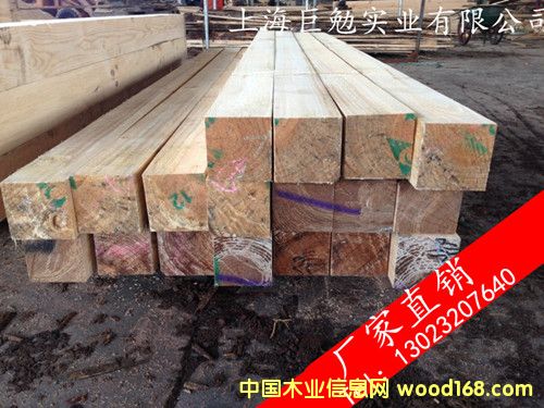 ݗ������ľ