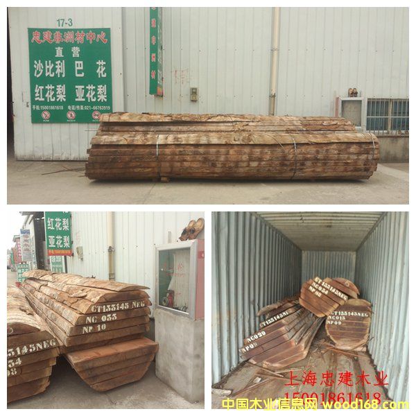 �tRɳ�������