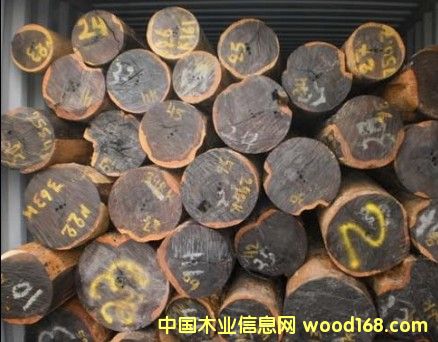 GUAYAKAN �灆���Kľ