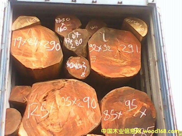 Taliwood ����