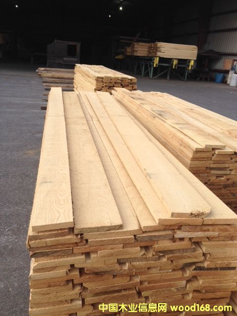 White Ash��Ԕ��(x��)��B