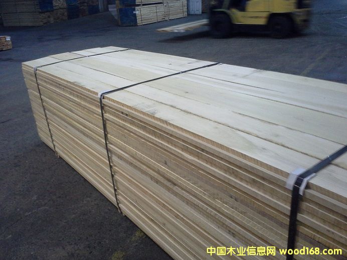 Poplar��Ԕ��(x��)��B