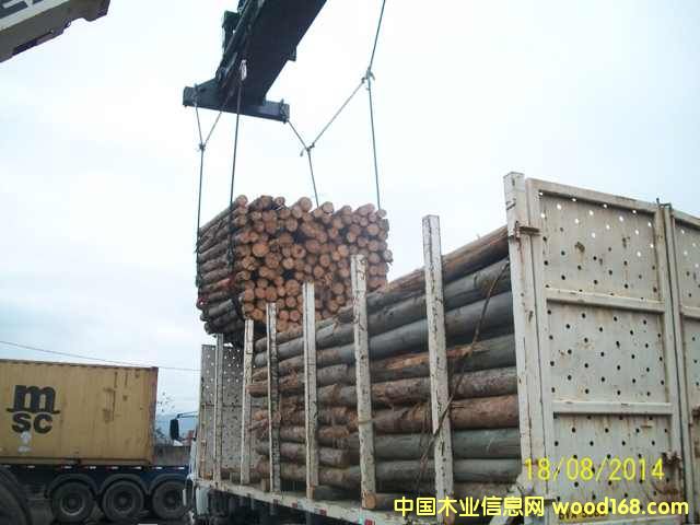 ���(sh��)ԭľ