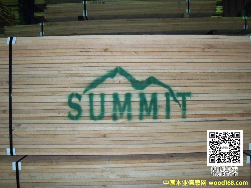 NY�~�s�ݰ�Ϟ �����İ�Ϟ