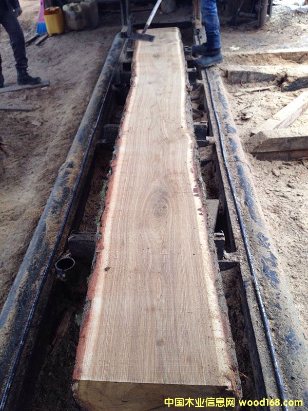 ���_˹��ľ/��ľ