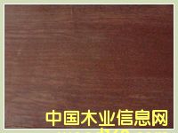 �����u��