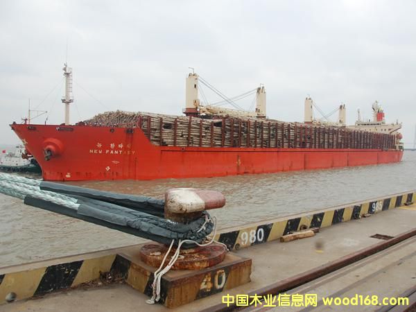 ��������ľ�Ĵ�-̫ƽ���֘I(y��)