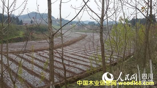 �Ĵ��ϲ��h��һ���������^����������ľ