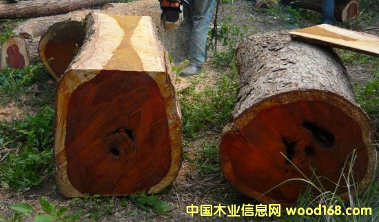 �Gɫ�h(hu��n)����������˾GGCՄ�Ї�ľ���Ј��ľ޴���