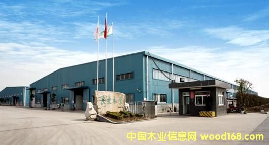 �㽭���d����ľ�I(y��)