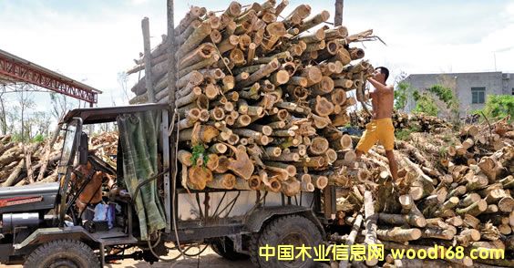 �����Ĳ�����rľ�����޹�˾������ُľ�� �p�ٞ�(z��i)��pʧ