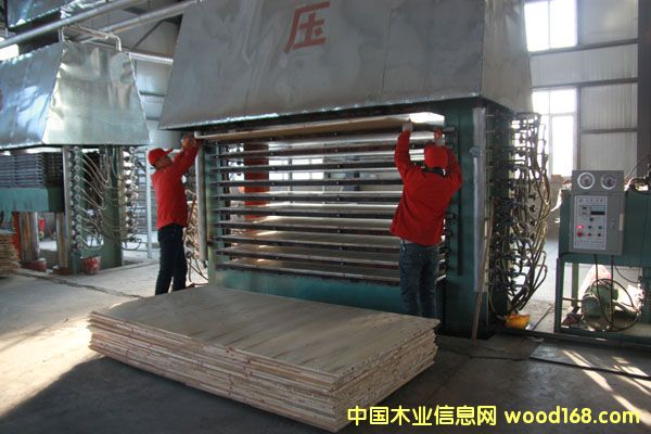 �����������P(y��ng)��ľ�I(y��)�����������B(t��i)��