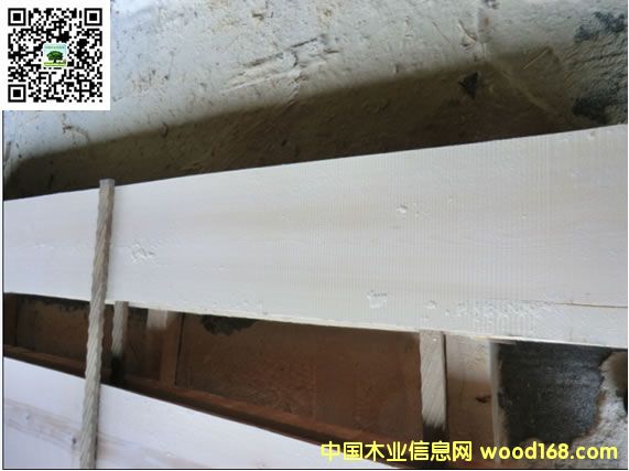 ����ľ�י�