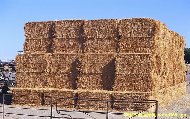 �ն������ԭ�϶ш�