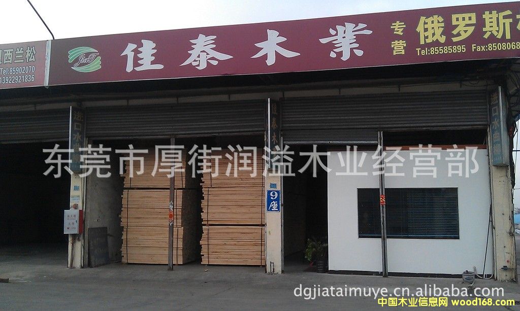 �|ݸ����d�I(y��)ľ���Ј���̩ľ�I(y��)