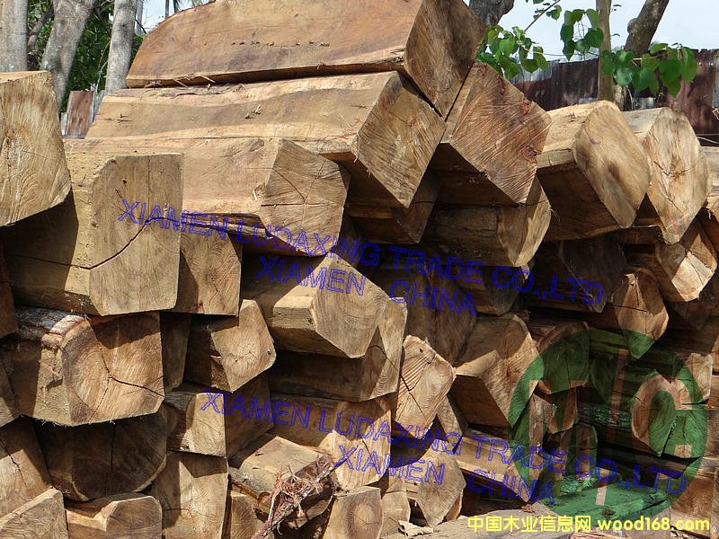 ����˼��2