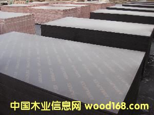 ��ģ5��Ԕ��(x��)��B