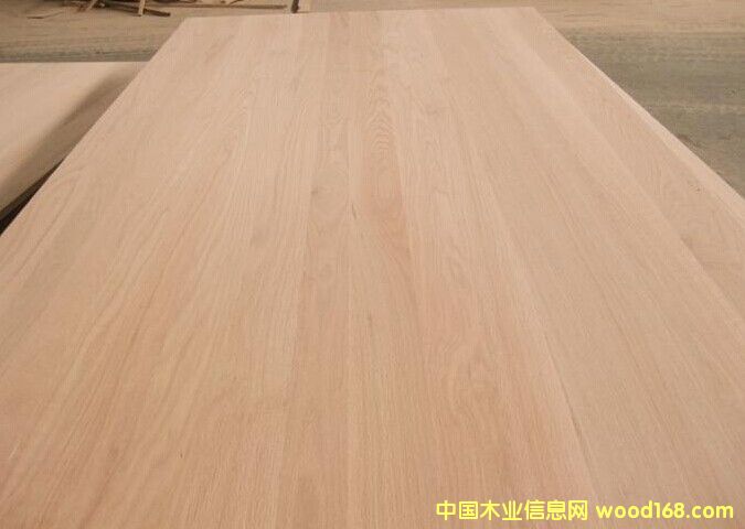 紅橡的詳細(xì)介紹