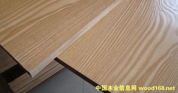 ɽ�|���B(t��i)��